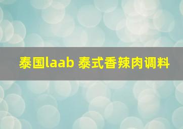 泰国laab 泰式香辣肉调料